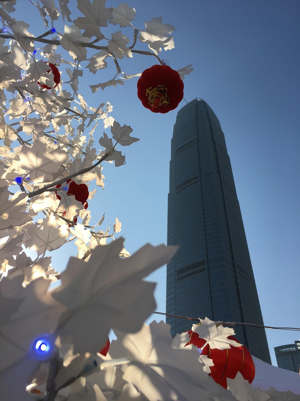 泰拉瑞亚1.4新版本，幼鸟之翼的飞翔之旅