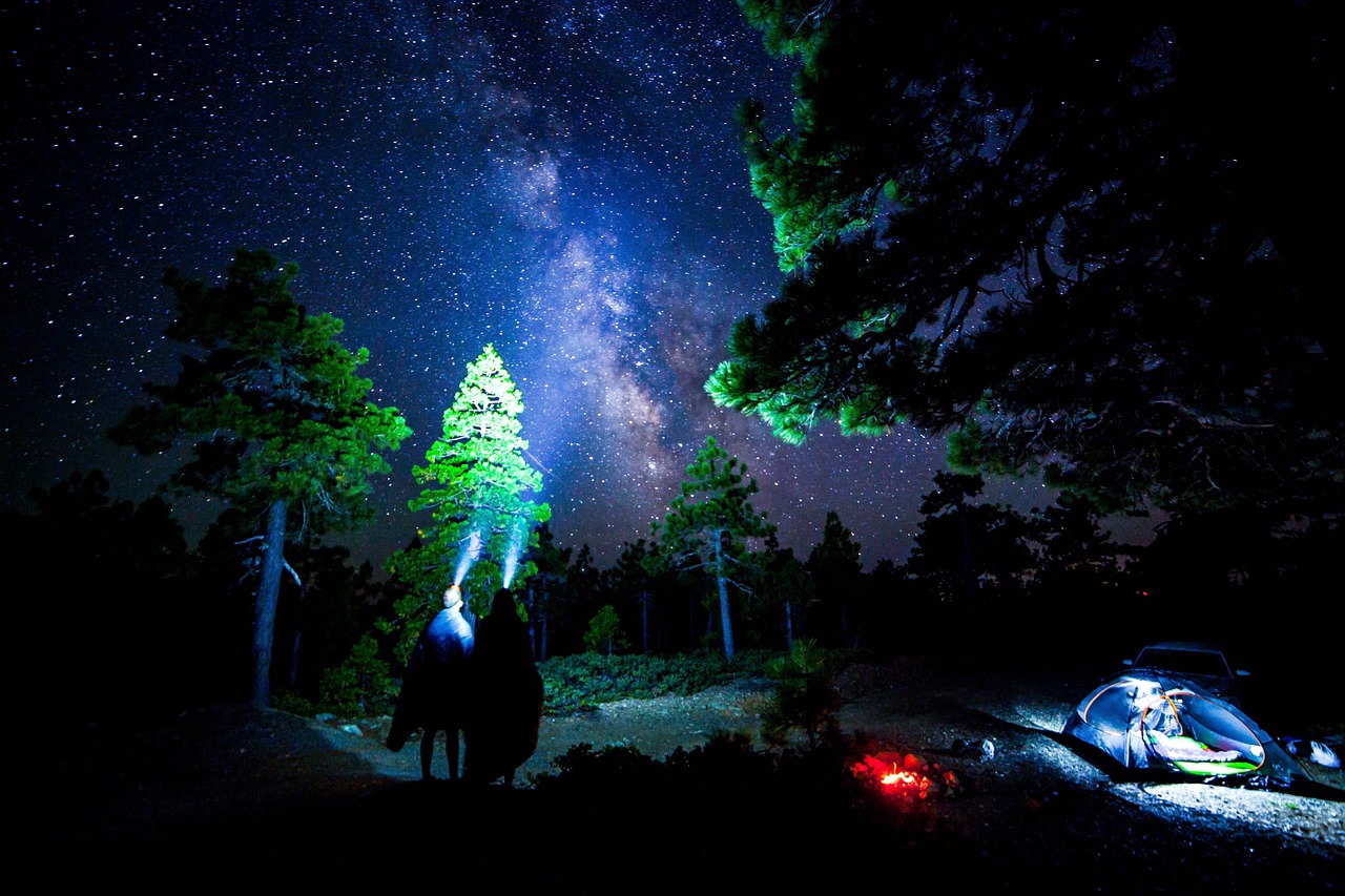 暖暖的生日盛宴，与你共度星辰时光