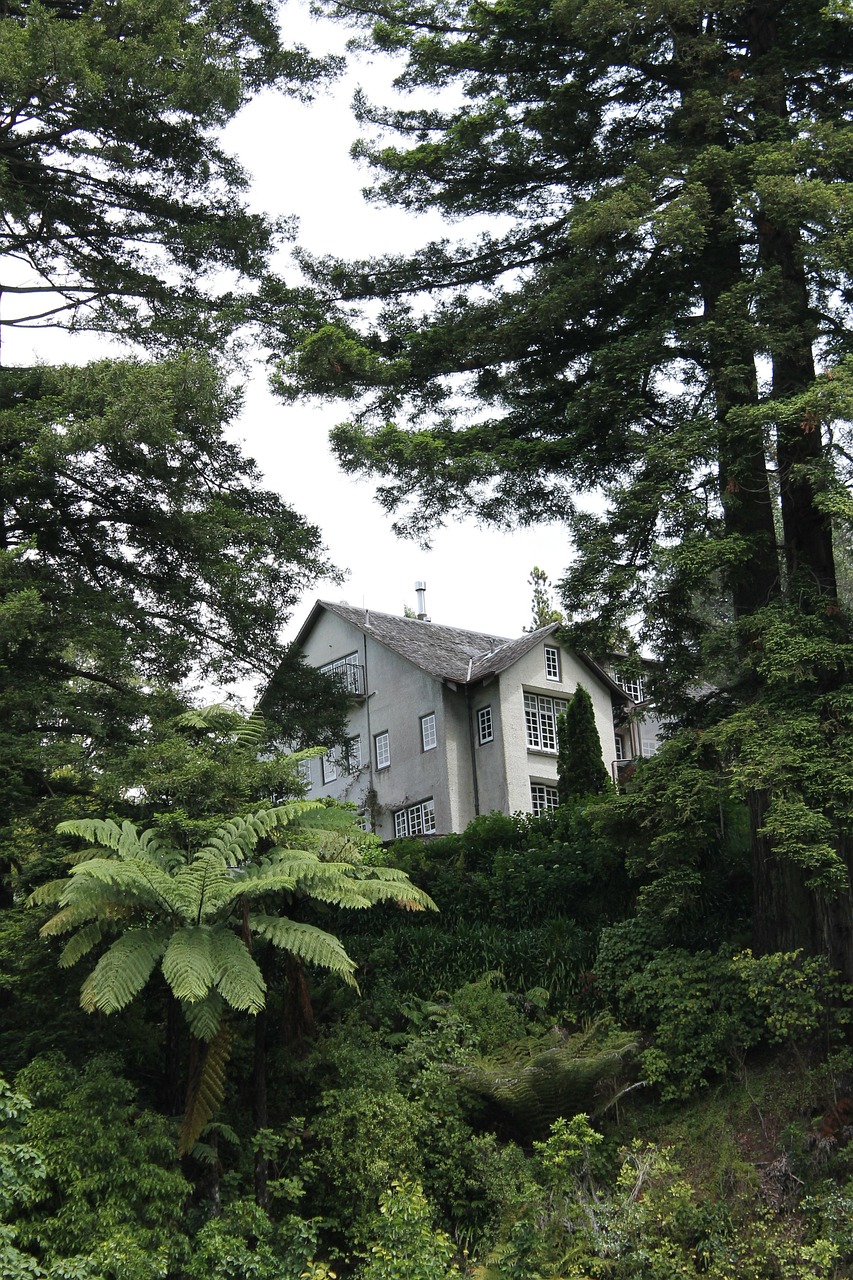 园艺之韵，探秘龙之谷的植物学奥秘