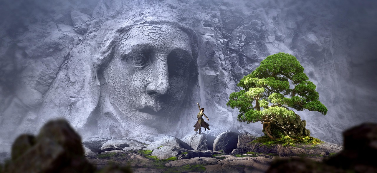探索创造与魔法中的神秘之树，你的冒险之旅从此开始！
