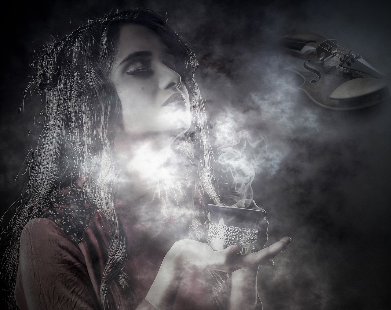 牧羊人之心月光蝶，梦幻般的邂逅